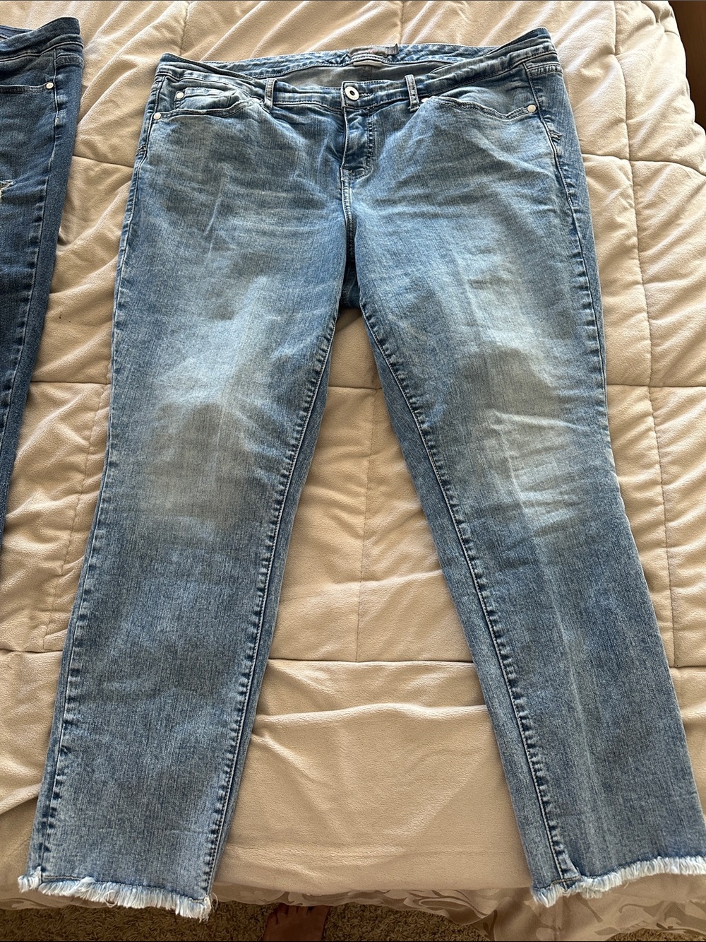 Torrid Crop Boyfriend Sz 16